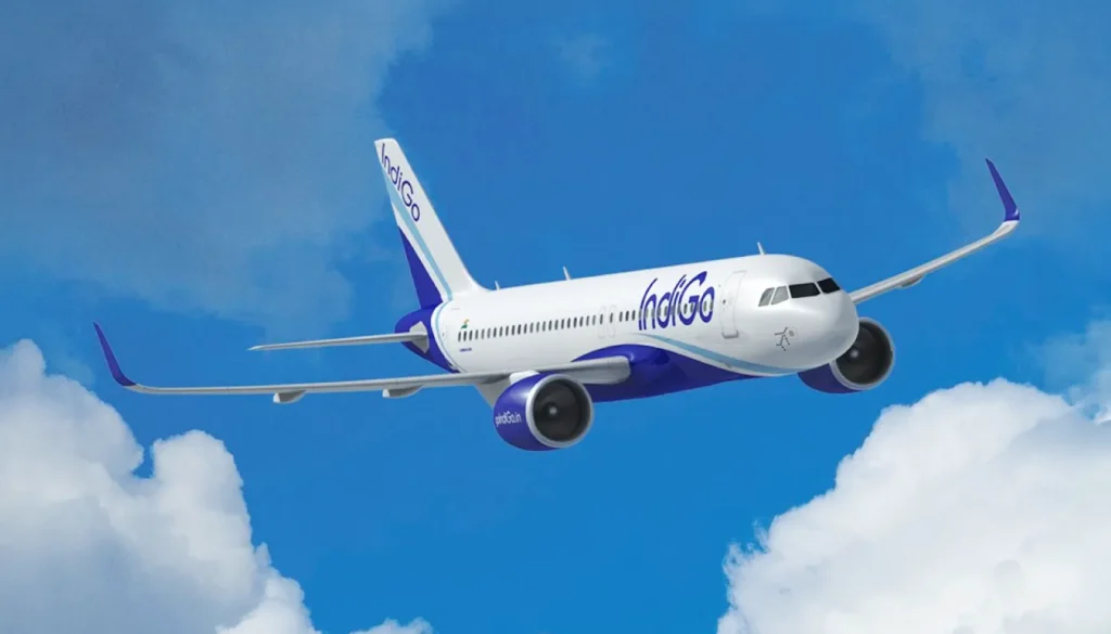 indigo